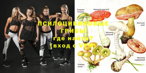 гидропоника Зерноград