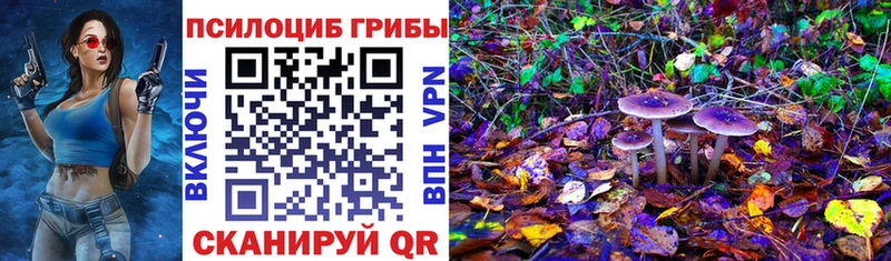Псилоцибиновые грибы Cubensis Назрань