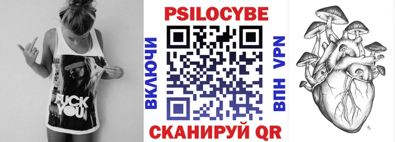 купить наркоту  Назрань  hydra ссылки  Псилоцибиновые грибы MAGIC MUSHROOMS 