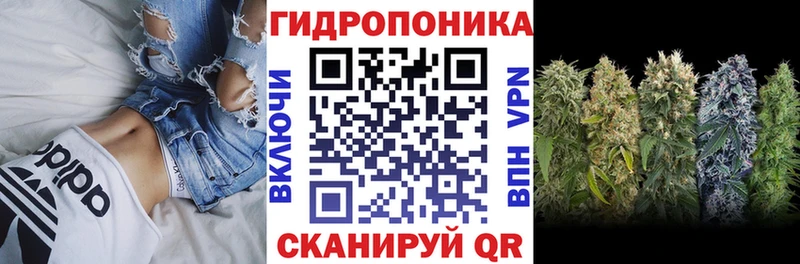 мега ТОР  Назрань  Каннабис план 